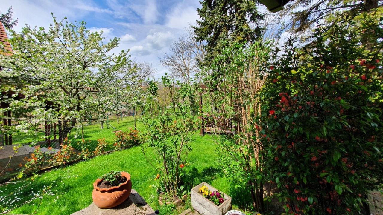 Rajski Vrt Vrdnik Dış mekan fotoğraf