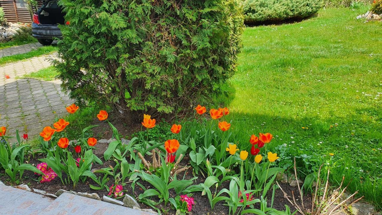 Rajski Vrt Vrdnik Dış mekan fotoğraf